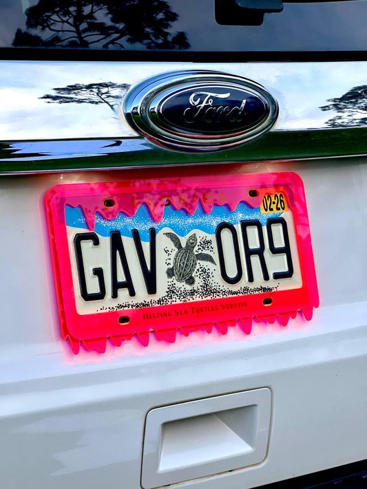 Slime License Plate Frame Cover, Car Show, JDM Plate, Tuner Plate, Car Mods, Car Lover Gift, Unique Frame, Gift for Him, Custom