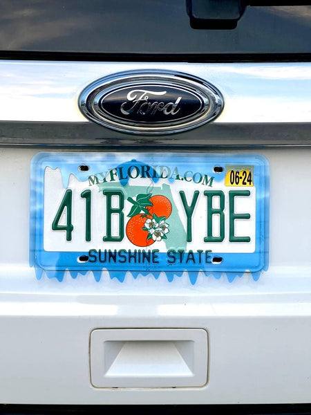 Slime License Plate Frame Cover, Car Show, JDM Plate, Tuner Plate, Car Mods, Car Lover Gift, Unique Frame, Gift for Him, Custom — photo 11