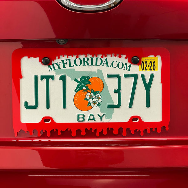 Blood Acrylic License Plate Frame Cover — photo 7