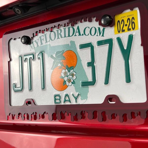 Blood Acrylic License Plate Frame Cover — photo 11