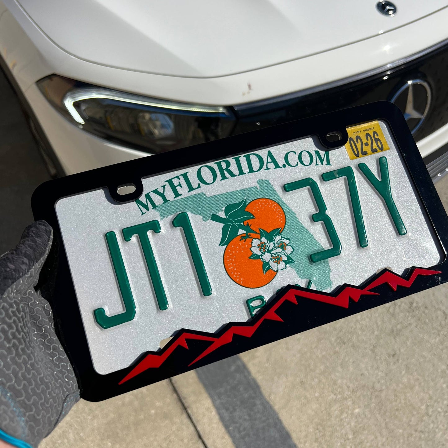 Mountain License Plate Frame Cover (single plate)